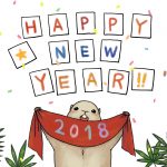 New year 2018